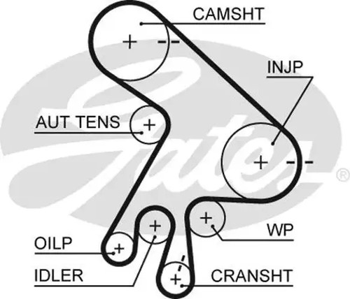 Timing belt kit - belt,