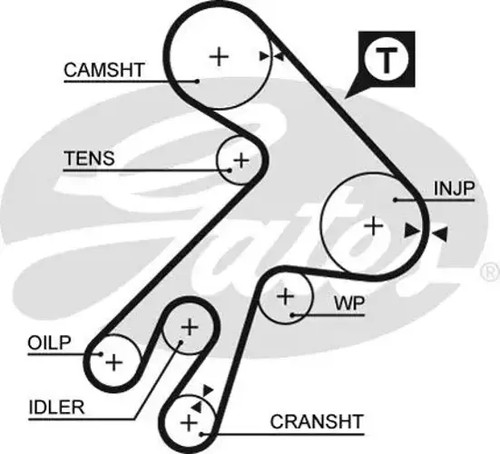 Timing belt kit water - timing,