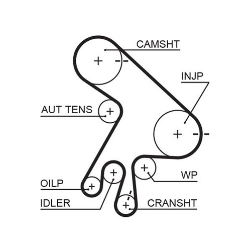 For gates 5562xs timing - 5562xs, belt